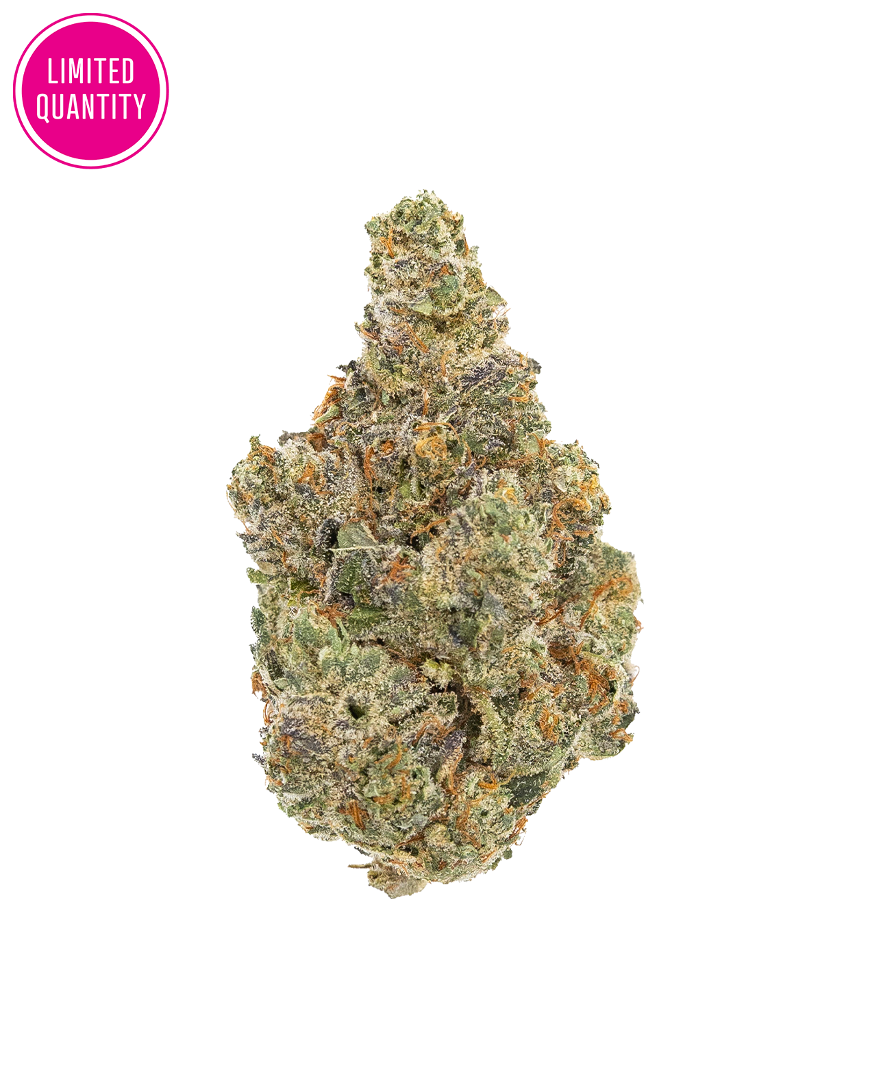 Bonkers Bubblegum Sherb 14g