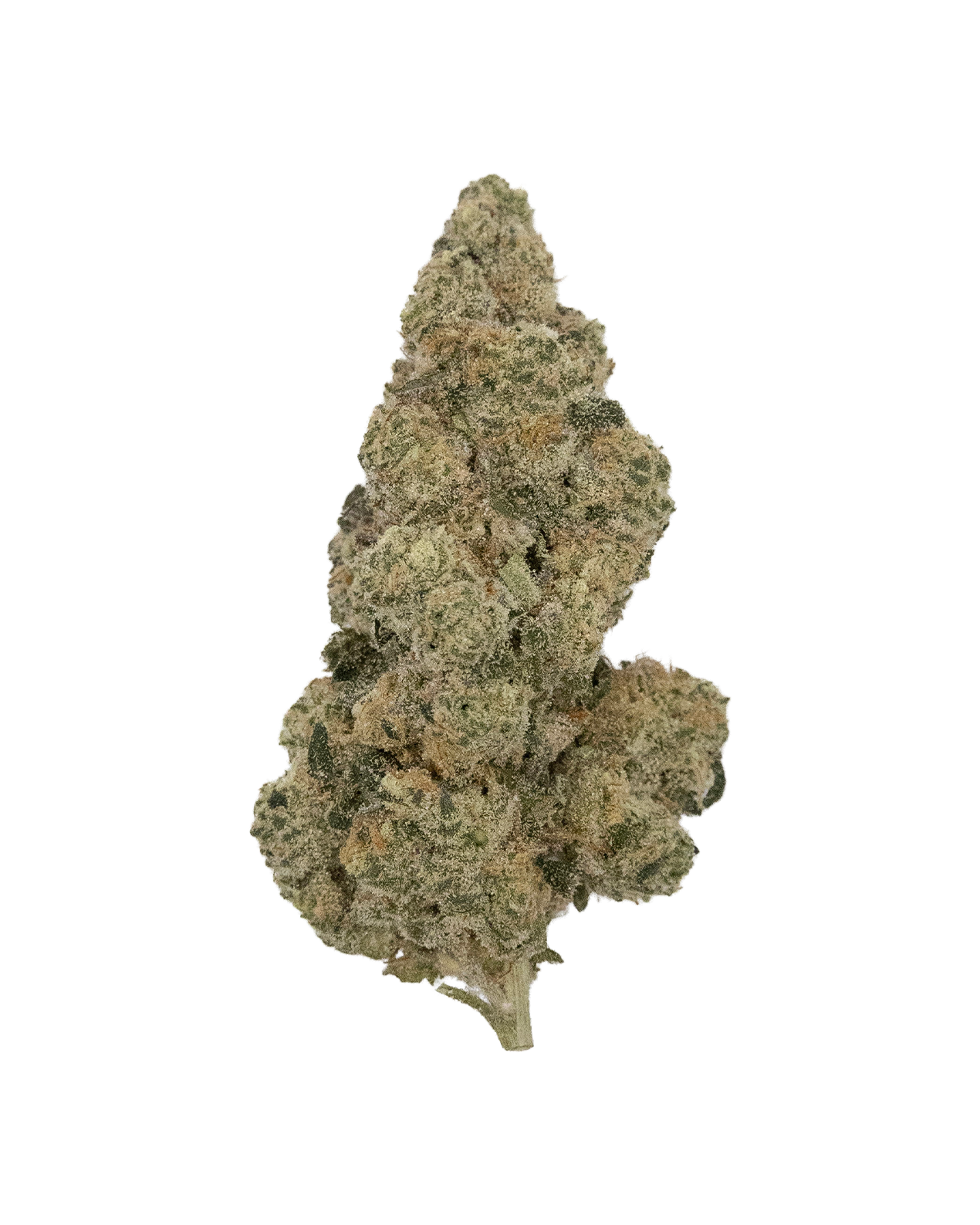 Bonkers Gummie Bearz 28g